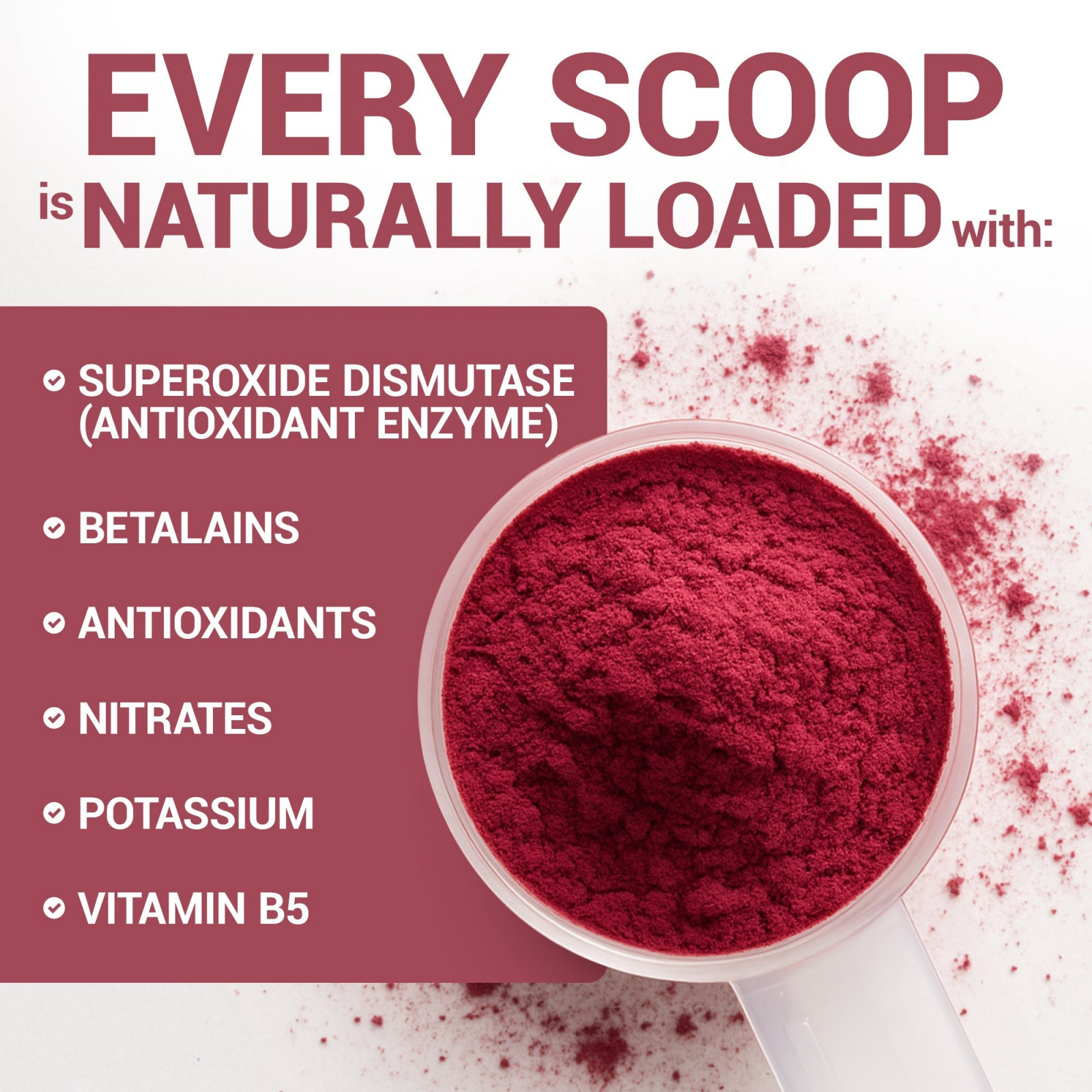 Organic Beetroot Juice Powder – Raw, Fresh, USDA Organic
